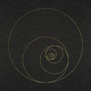 The Ocean Collective - Phanerozoic Live
