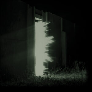 FINK – Horizontalism